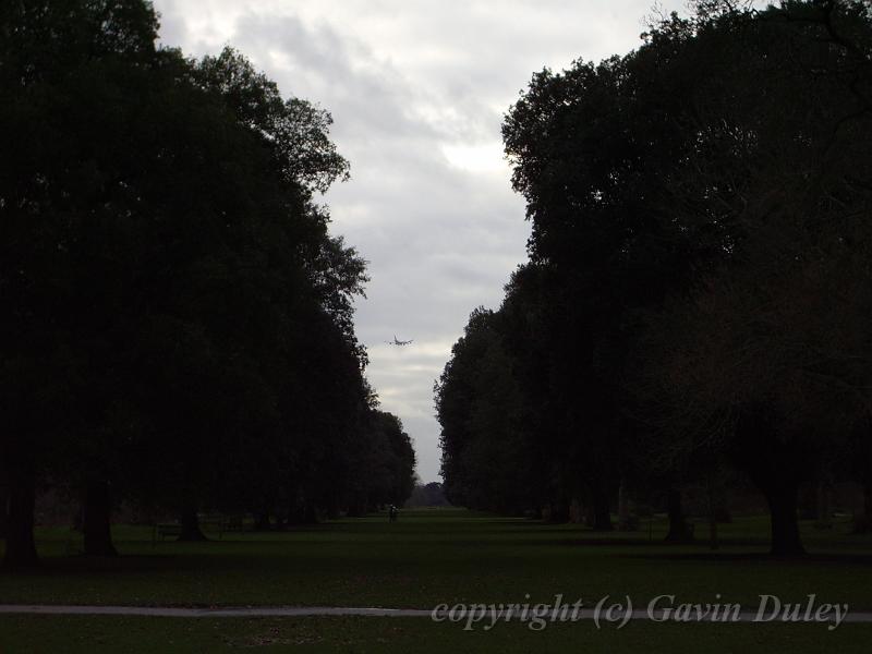 Avenue of trees, Royal Botanic Gardens Kew IMGP6427.JPG